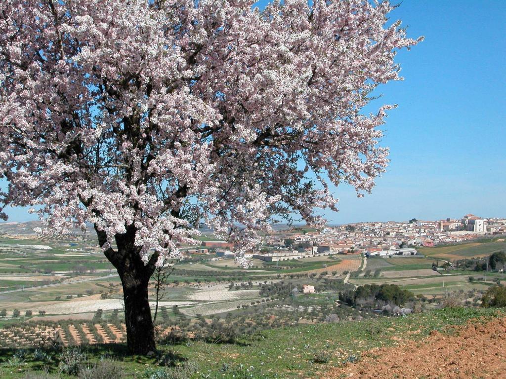 Hotel Rural Casa De La Marquesa Chinchón מראה חיצוני תמונה